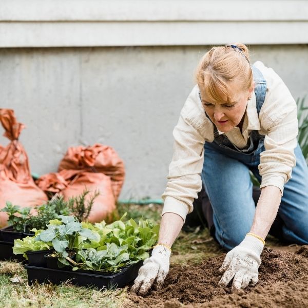 a woman gardening in Fort Mill after having an ingrown toenail treated a woman gardening in Fort Mill after having an ingrown toenail treated