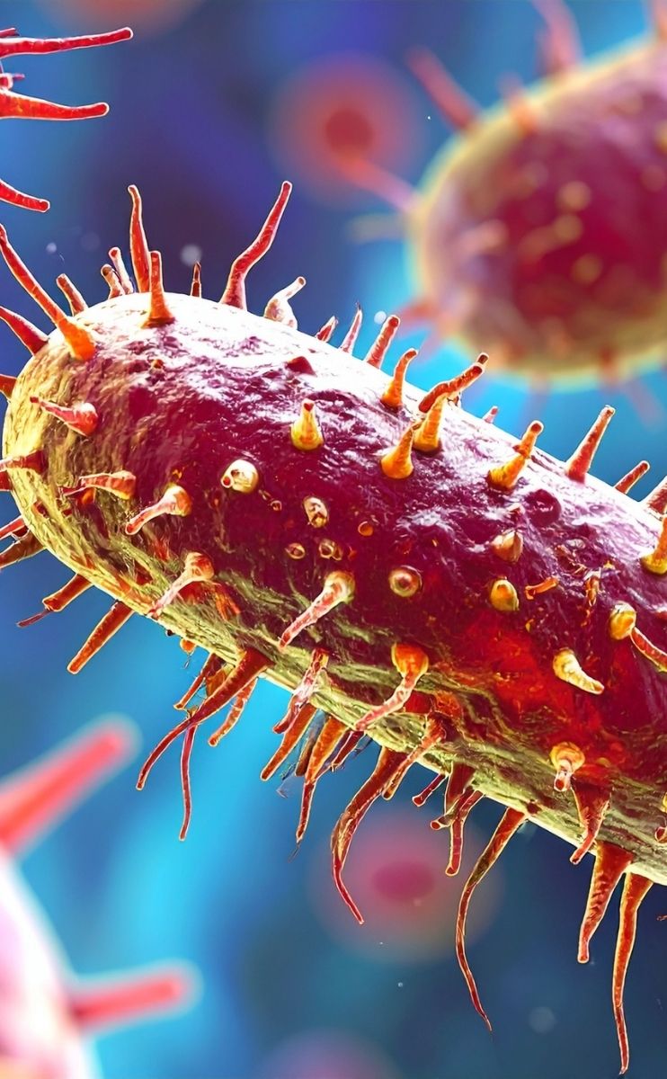graphic showing a closeup view of a bacteria graphic showing a closeup view of a bacteria