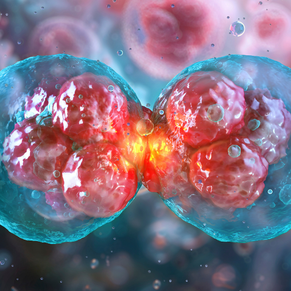graphic showing cells regenerating